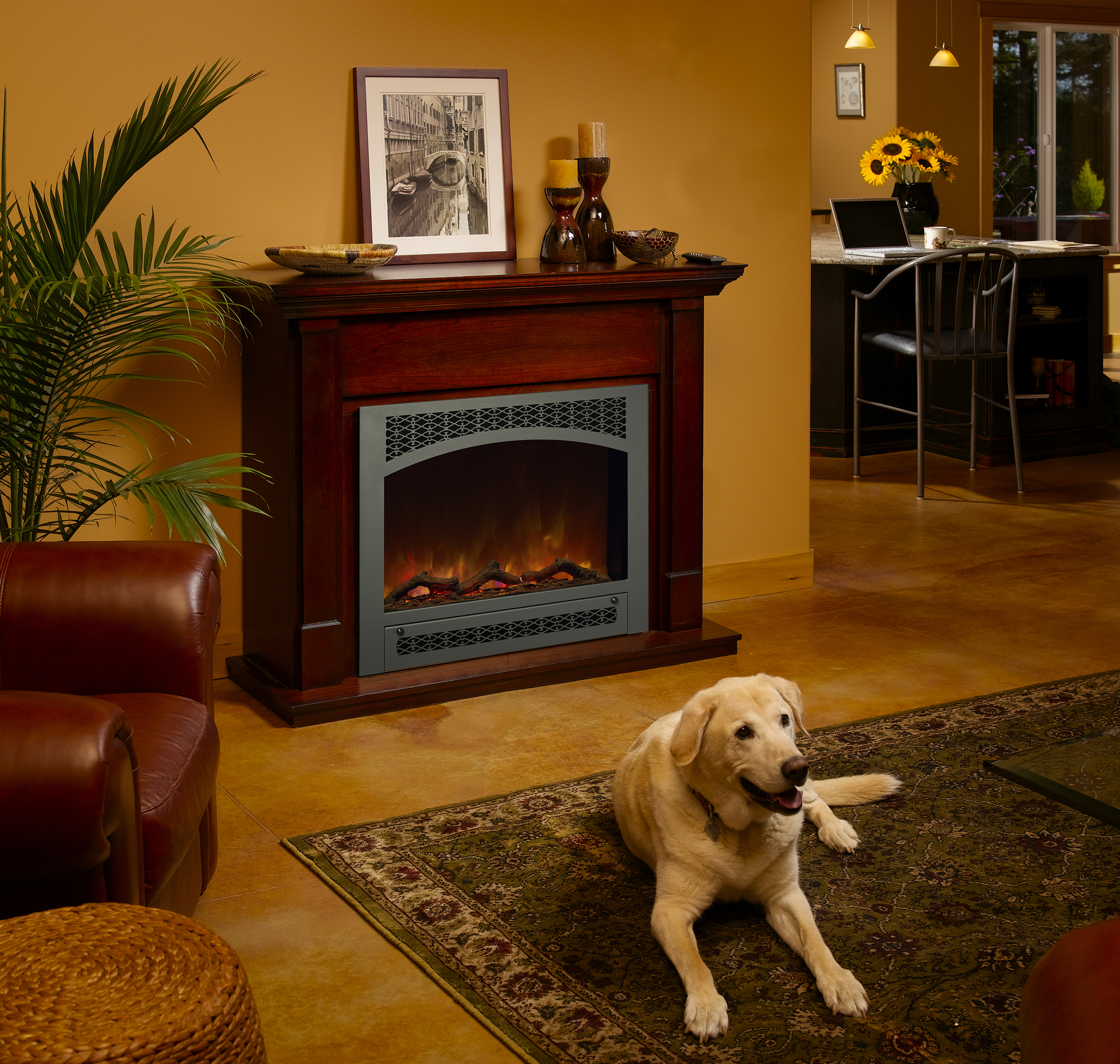 Avalon Seattle 564 Electric Quality Fireplace & BBQ